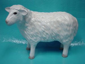 C20b.bárány-kecske