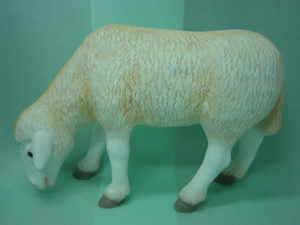 C380.bárány