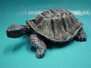 C130.teknősbéka