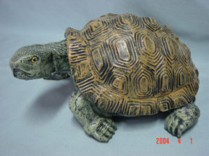 C320a.teknősbéka