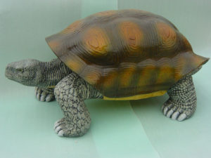 C394.teknősbéka