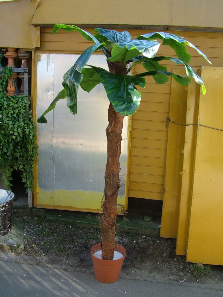 DSCF5304